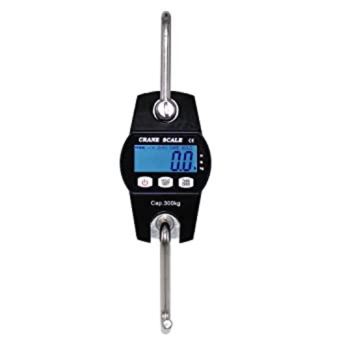 Digital Crane Scale