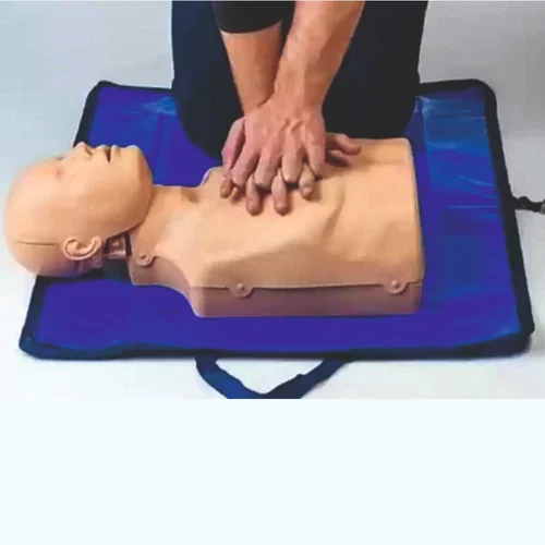 Half Body Cpr Training Manikin